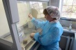 В Воронежской области проведено 27 проверок лекарств для животных