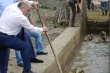 В республике Дагестан завершается перегон овец на летние пастбища