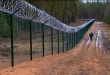 Дания приступила к строительству забора от диких кабанов вдоль границы с Германией