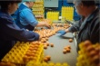  Украина должна доказать эквивалентность системы контроля, чтобы возобновить экспорт яиц в Израиль - Госпродпотребслужба
