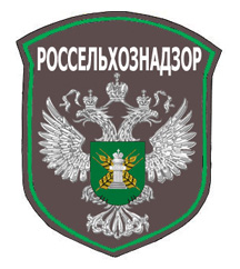В Республику Молдова возвращено более 20 тонн говядины и субпродуктов