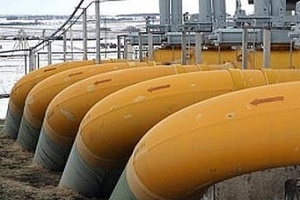 Воронежский проект «Русских протеинов» меняет дислокацию
