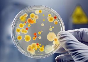 В продукции мясоперерабатывающего завода в Приморье обнаружен золотистый стафилококк