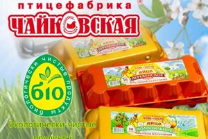 ЗАО "Птицефабрика "Чайковская" вышла из засухи с минимальными потерями урожая ЗАО "Птицефабрика "Чайковская" вышла из засухи с минимальными потерями урожая