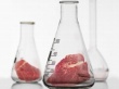 Украина проведет расследование качества мяса, результаты которого направит в Россельхознадзор