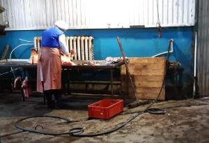 В Оренбургской области за антисанитарию приостановили работу убойного цеха