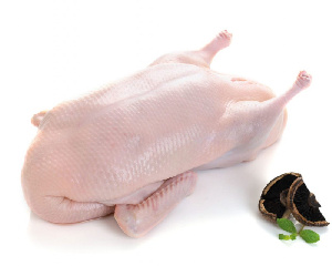 Ростовская область: «Дамате» запустила завод по переработке утки