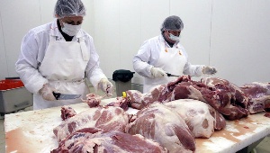 "Черкизово" увеличило продажи мяса птицы на 24%, свинины - на 7%