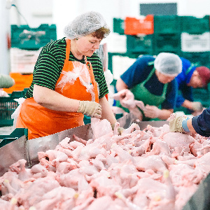 Россельхознадзор: потенциал стран ближнего зарубежья по поставкам мяса из РФ недооценен Россельхознадзор: потенциал стран ближнего зарубежья по поставкам мяса из РФ недооценен