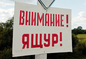 В Приморье зафиксировали еще одну вспышку ящура В Приморье зафиксировали еще одну вспышку ящура