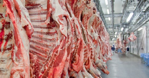 В 2020 году производство бразильской говядины вырастет на 22%, утверждают аналитики
