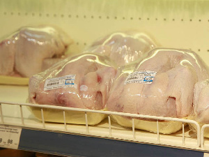ЕС запретил поставки мяса птицы из России из-за птичьего гриппа