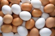 Производство яиц в Грузии увеличилось на 8,9%