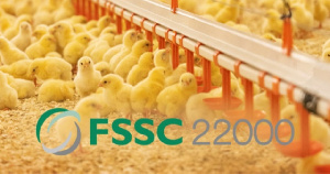 «ПРОДО Птицефабрика Сибирская» получила сертификат FSSC 22000