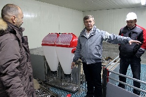 Крупнейший свинокомплекс на Сахалине готовят к запуску