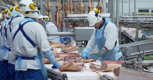 Инспекторы из Монголии провели аудит активов «Тамбовского бекона»