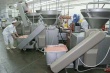 Белорусские мясокомбинаты погрязли в фальсификациях