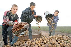 Проект "Агроцивилизация" охватит все школы Тюменской области