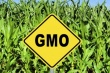 ЕС не позволит отдельным странам решать вопросы об использованиии ГМО комбикормов