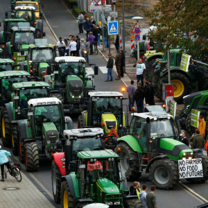 Протесты фермеров в Европе: причины и последствия