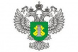 Россельхознадзор ограничил ввоз в РФ кормовых добавок из Китая из-за вируса АЧС