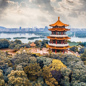 Китай готов открыть рынок для новых мясных предприятий РФ — Сергей Данкверт