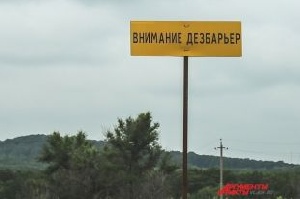 Тысячи на убой: В Приморье ввели режим ЧС из-за вспышки ящура