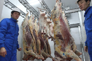 Экспортом монгольского мяса занялся МИД страны