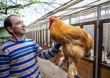 Краснодарский фермер представит в Москве уникальную коллекцию кур