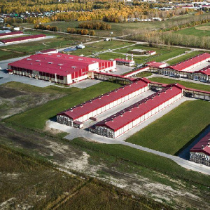 Тюменские власти выделили более 1 млрд рублей на восстановление птицефабрики «Боровская» Тюменские власти выделили более 1 млрд рублей на восстановление птицефабрики «Боровская»