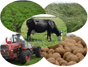 В Тамбовской области наращивают темпы производства в АПК