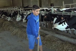 Доставка сена на гироскутере: испанский школьник ускорил процесс кормления коров 
