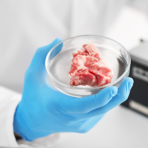 Выращенное в лаборатории мясо оказалось до 25 раз вреднее для окружающей среды, чем говядина
