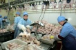 ФАС России: Рост цен на курятину оправдан