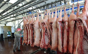 ABC (Испания): Путин отправляет венесуэльцам 13,5 тысяч тонн российской свинины на Рождество