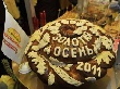 Брянщина приняла участие в 13-ой агропромышленной ярмарке «Золотая осень-2011»