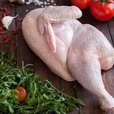 «Кузбасский бройлер» начнет производить мясо индейки