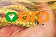Крупный агрохолдинг «ОГО» близится к краху под криминальным давлением