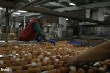 Ленобласть вышла в лидеры по производству мяса кур и куриных яиц