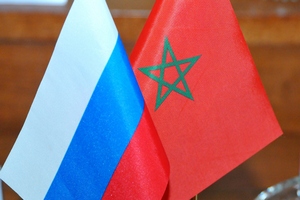  Россельхознадзор обсудил экспорт российской животноводческой продукции с представителями Королевства Марокко