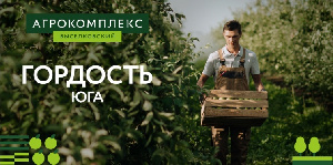 Выручка «Агрокомплекс» им. Н. И. Ткачева за полгода составила 52 млрд рублей