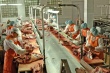 Военный полигон в Костромской области превратят в место для переработки мяса