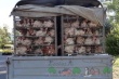 В Канзасе запретили перевозку птицы