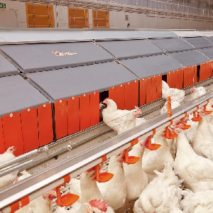 ФАС одобрила ходатайство структуры агрохолдинга "Ресурс" о приобретении "Племрепродукта"