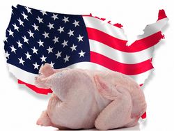 Экспортёры курятины США просят восстановить «нормальную» торговлю с Россией