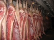 Динамика средних цен на говядину и говяжьи субпродукты импортного производства на условиях CIF Санкт-Петербург, данные на 05 ноября 2012 года