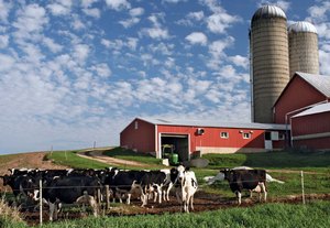 Тайская CP Group может построить в Московской области молкомплекс за 1 млрд долларов