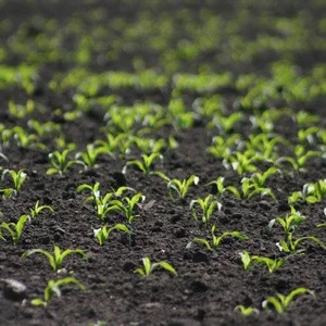 АГРОСИЛА завершила строительство площадки производства органических удобрений