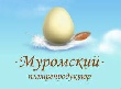 "Муромскому" мечтать вредно. Анонсировавшая масштабный проект белгородская компания ушла в банкротство