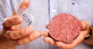 В Израиле нашли способ снижения себестоимости культивируемого мяса